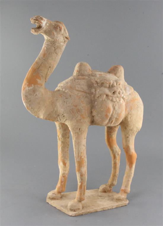 A large Chinese pottery figure a Bactrian camel, Tang dynasty style, 55cm high